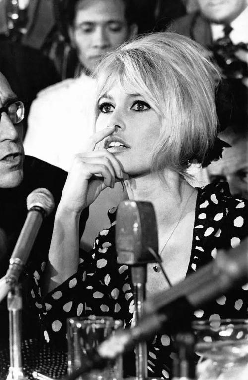 gxa34cnxFWWzIR7CuzztY7JuDlr2I8oBloSuayff